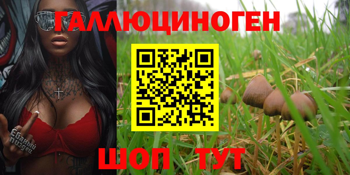 Псилоцибиновые грибы мухоморы Добрянка