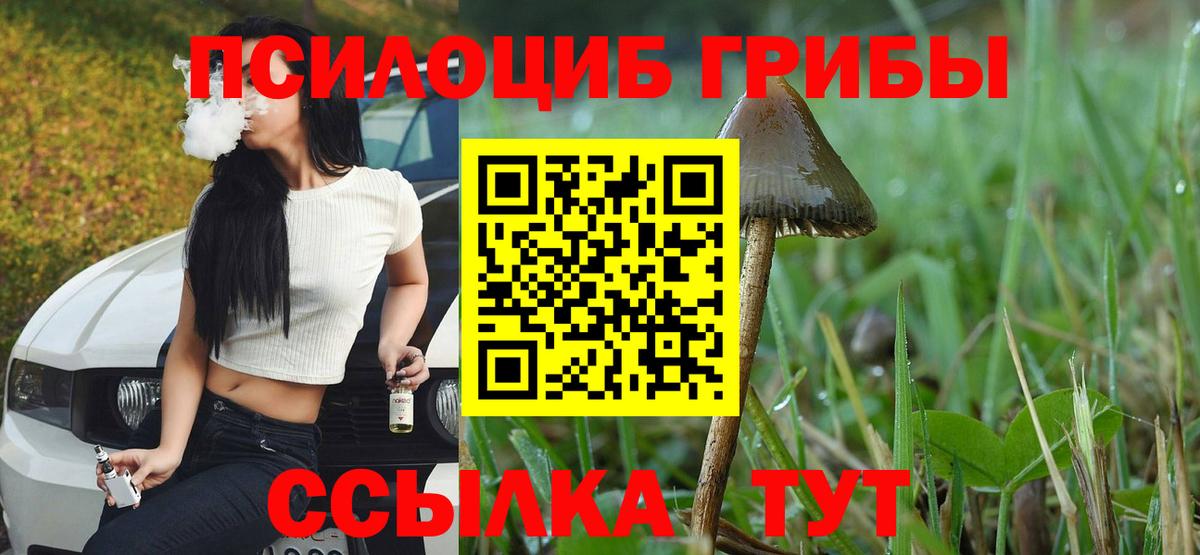Псилоцибиновые грибы мухоморы  Вход с VPN  Добрянка 